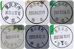 成人久久网91精产品,探索成人娱乐领域的创新与变革